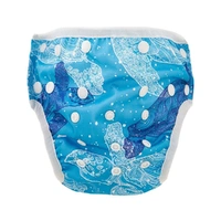 Reusable Swim Nappy - Turtles